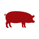 pork-recipes-150×150